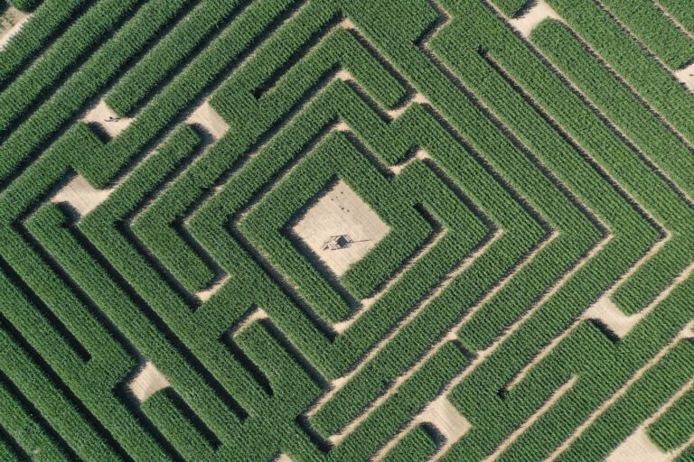 Maislabyrinth Hof Kreye Maislabyrinth Hof Kreye